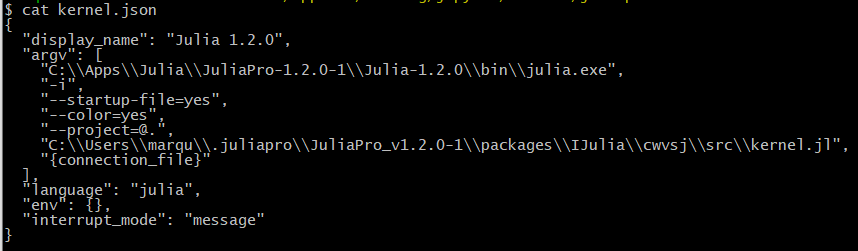 Jupyter Julia-1.2.0 Kernel.json Before